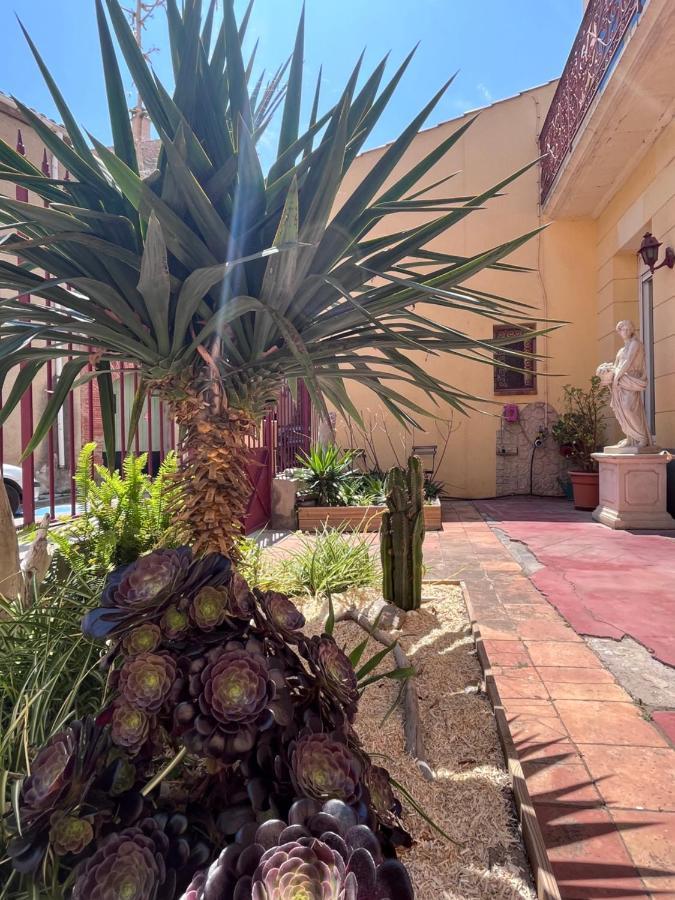 Fitou Abri Du Vent, Chambres Et Appartements מראה חיצוני תמונה